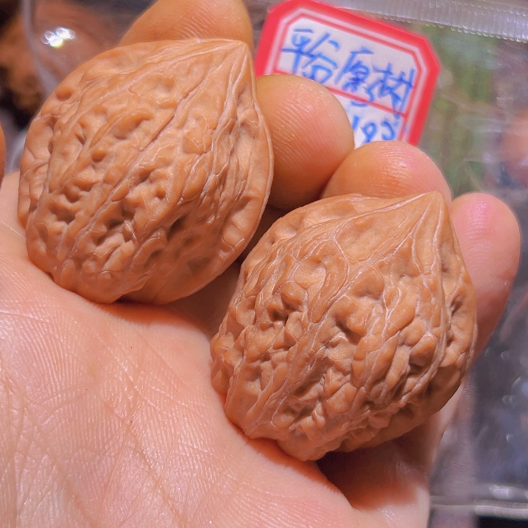 瑞麟文玩核桃山地无名野核