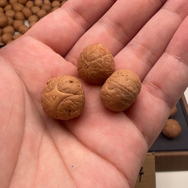 老***高吊坠凤眼菩提18➕精品麒麟
