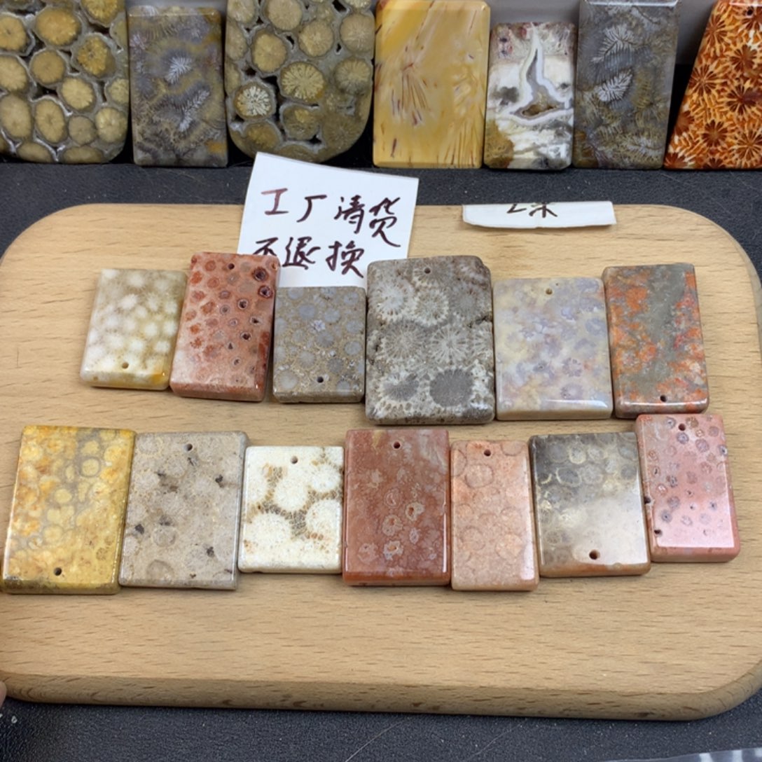 抱***贝硅化珊瑚（珊瑚玉）未镶嵌五