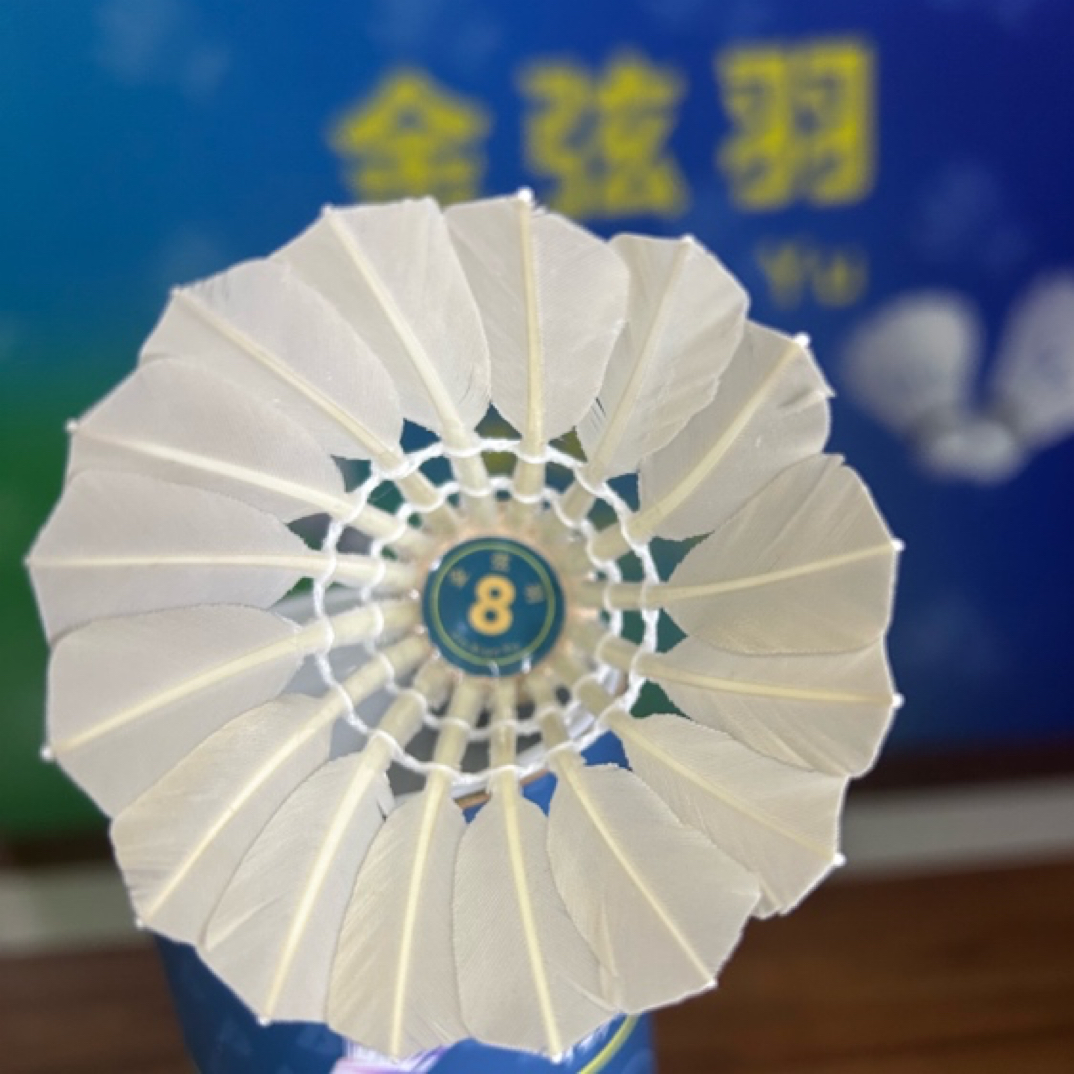 金弦羽8号羽毛球全圆飞行稳定品相一般初学者运动娱乐训练用球