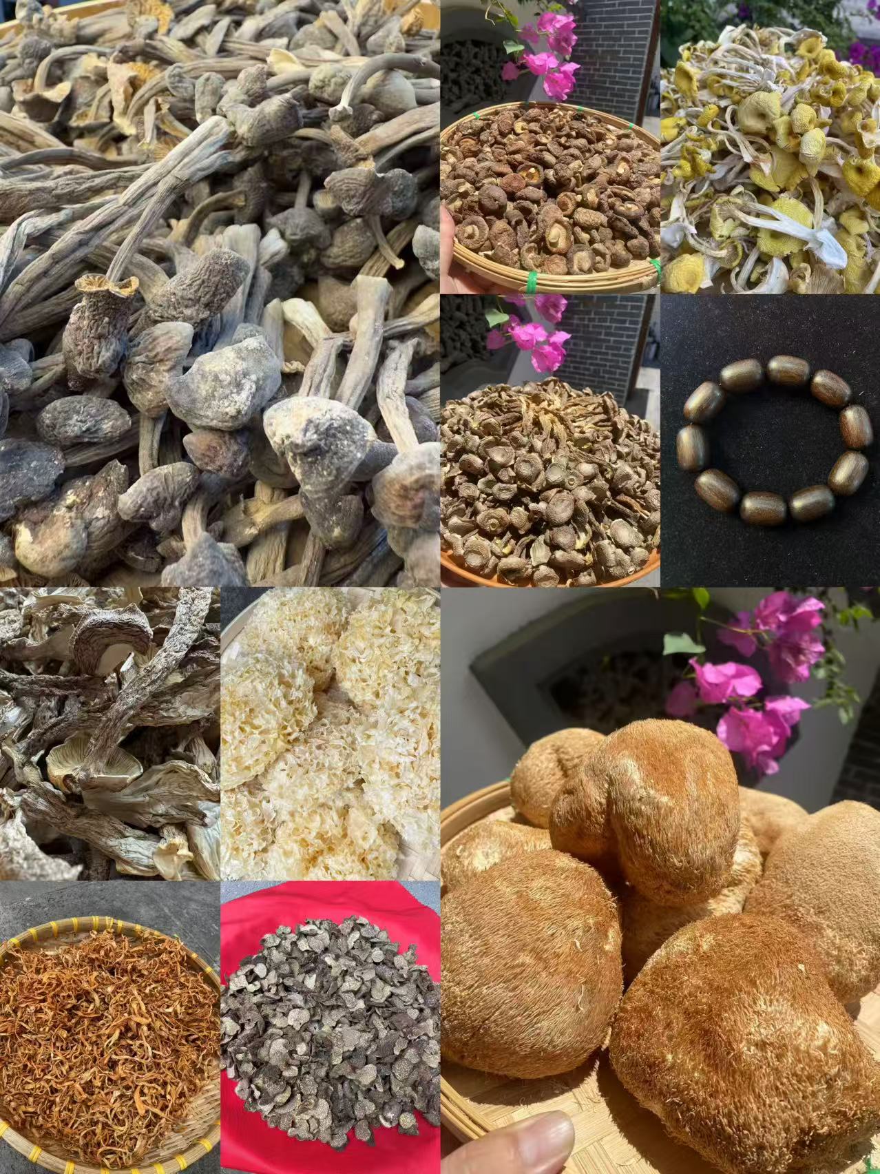 （文总专用土特产）XJ02多样性发货 重量52克左右