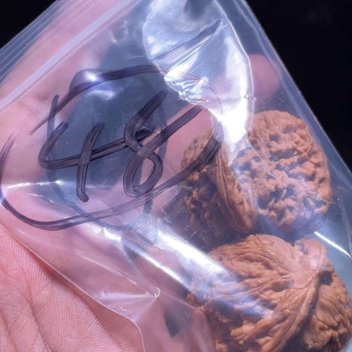 文玩核桃吊坠48呃呃呃
