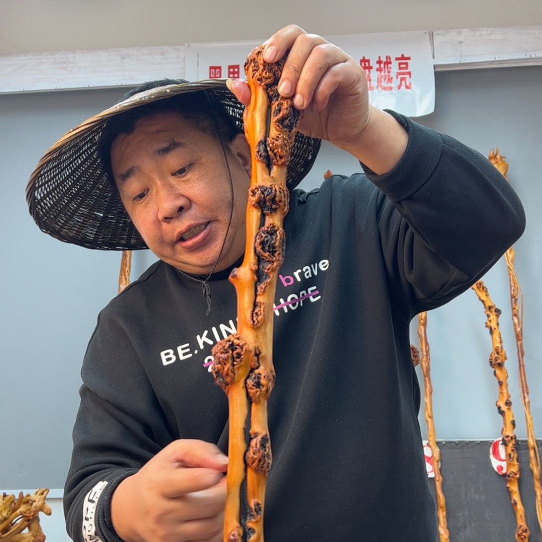 黑果木其他黑果木572