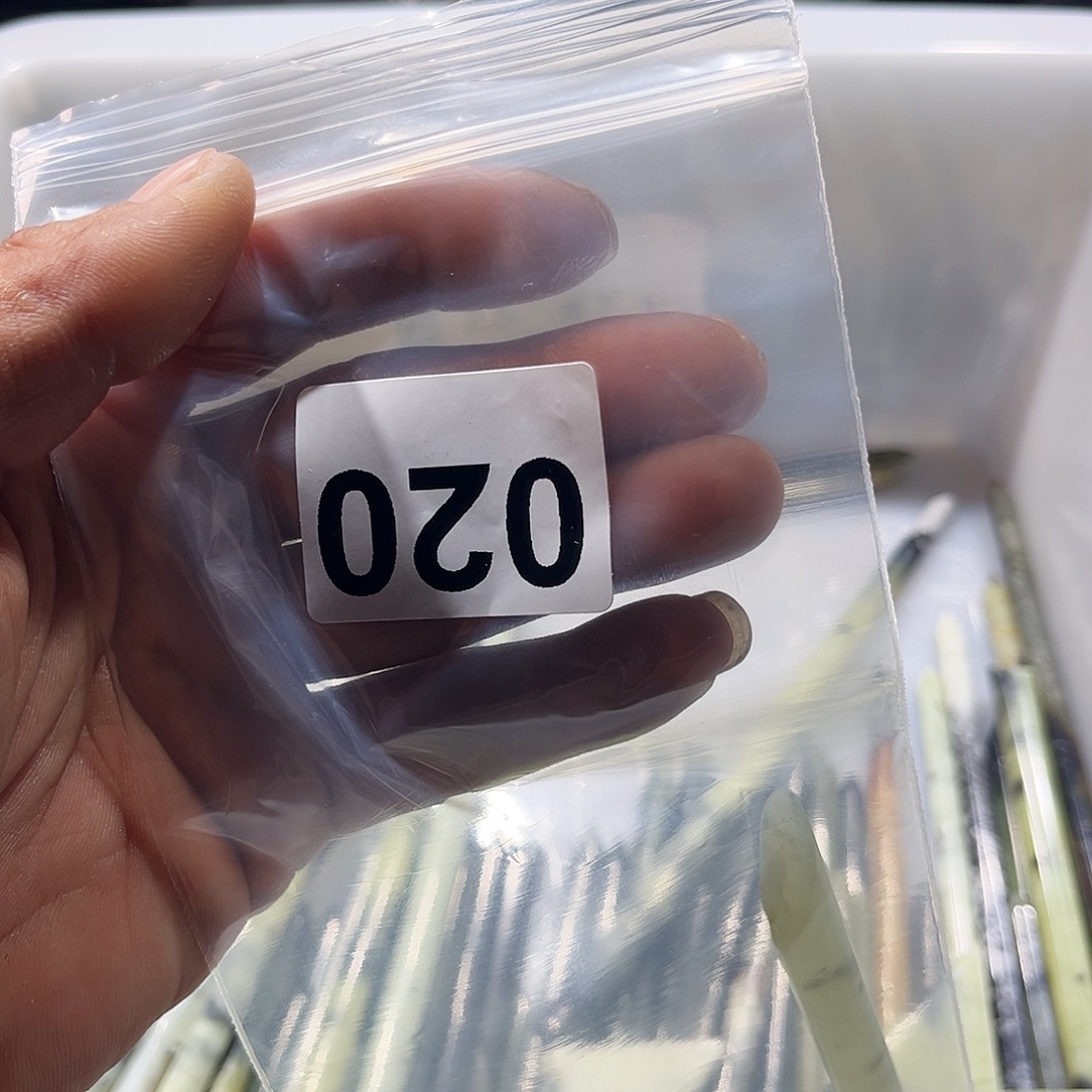 *****蛇纹石玉未镶嵌发簪