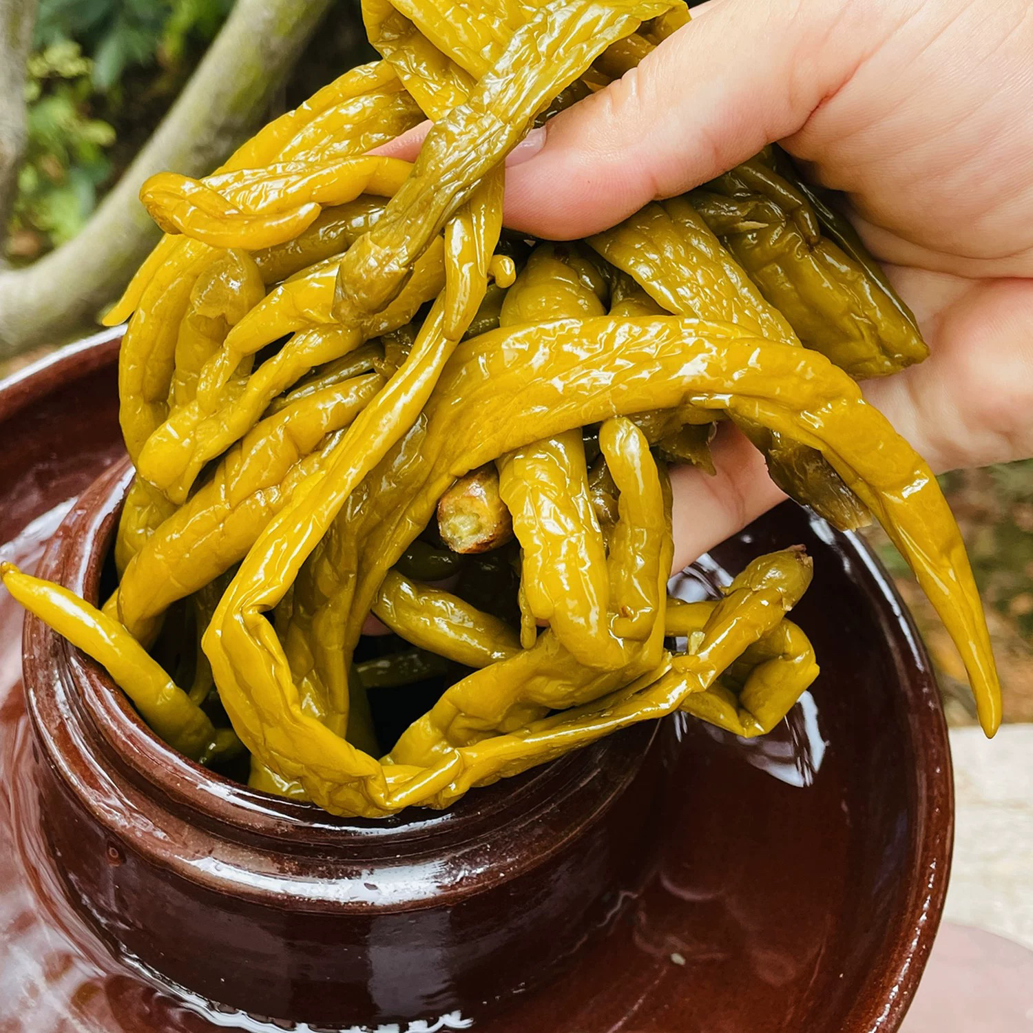 湖南湘西老坛酸青辣椒泡辣椒