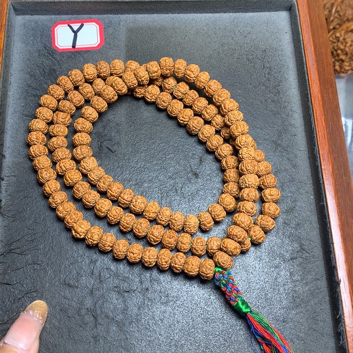 金刚菩提吊坠菩提