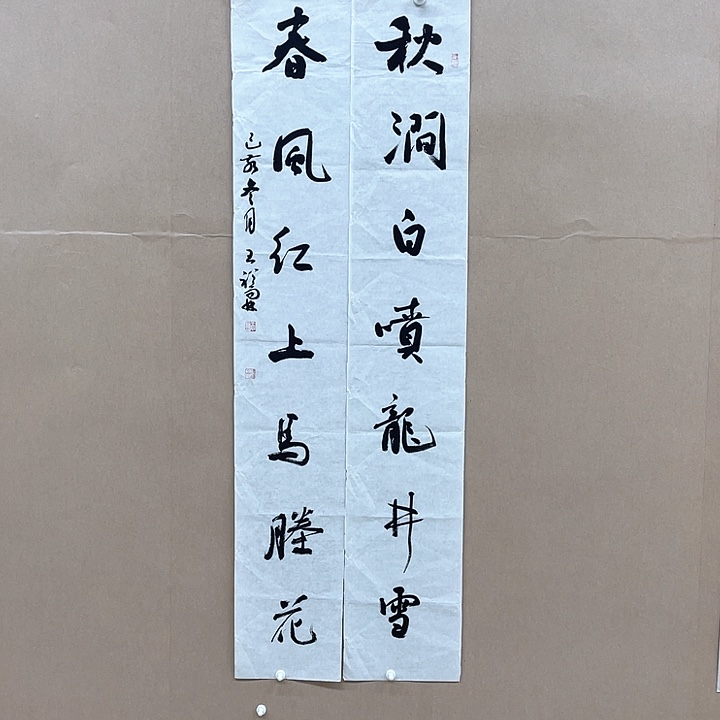 书法王裕霖138*46㎝青海LS