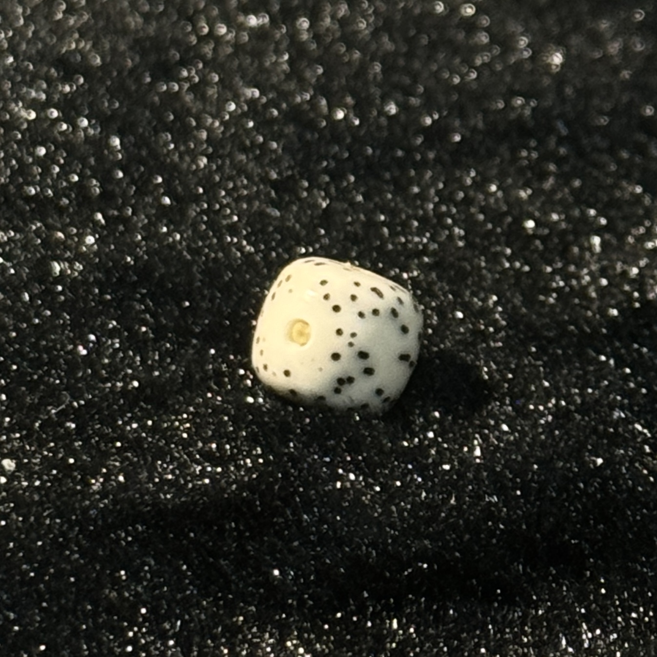 海南星月菩提手串压车勿拍
