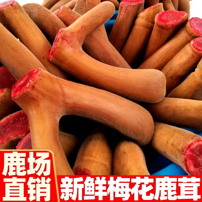 鹿茸 改价链接 直播间选购默认加酒保鲜发货