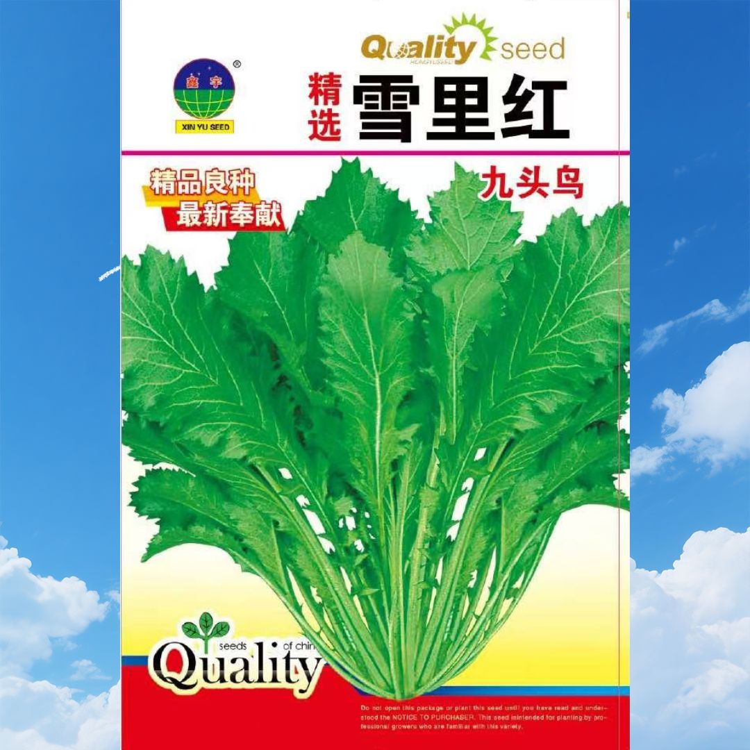 &雪里红种子（2）&