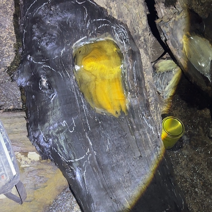 澄***厨乌木金丝楠摆件毛料