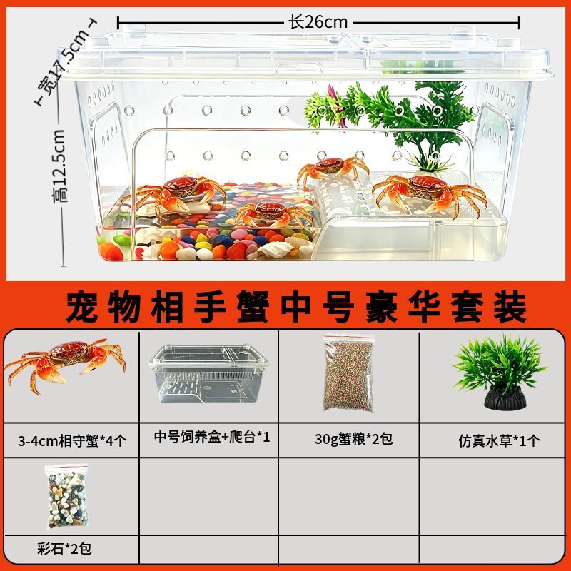 螃蟹宠物饲养套装观赏蟹饲养箱淡水活物相守蟹将军蟹迷你辣椒蟹蟹