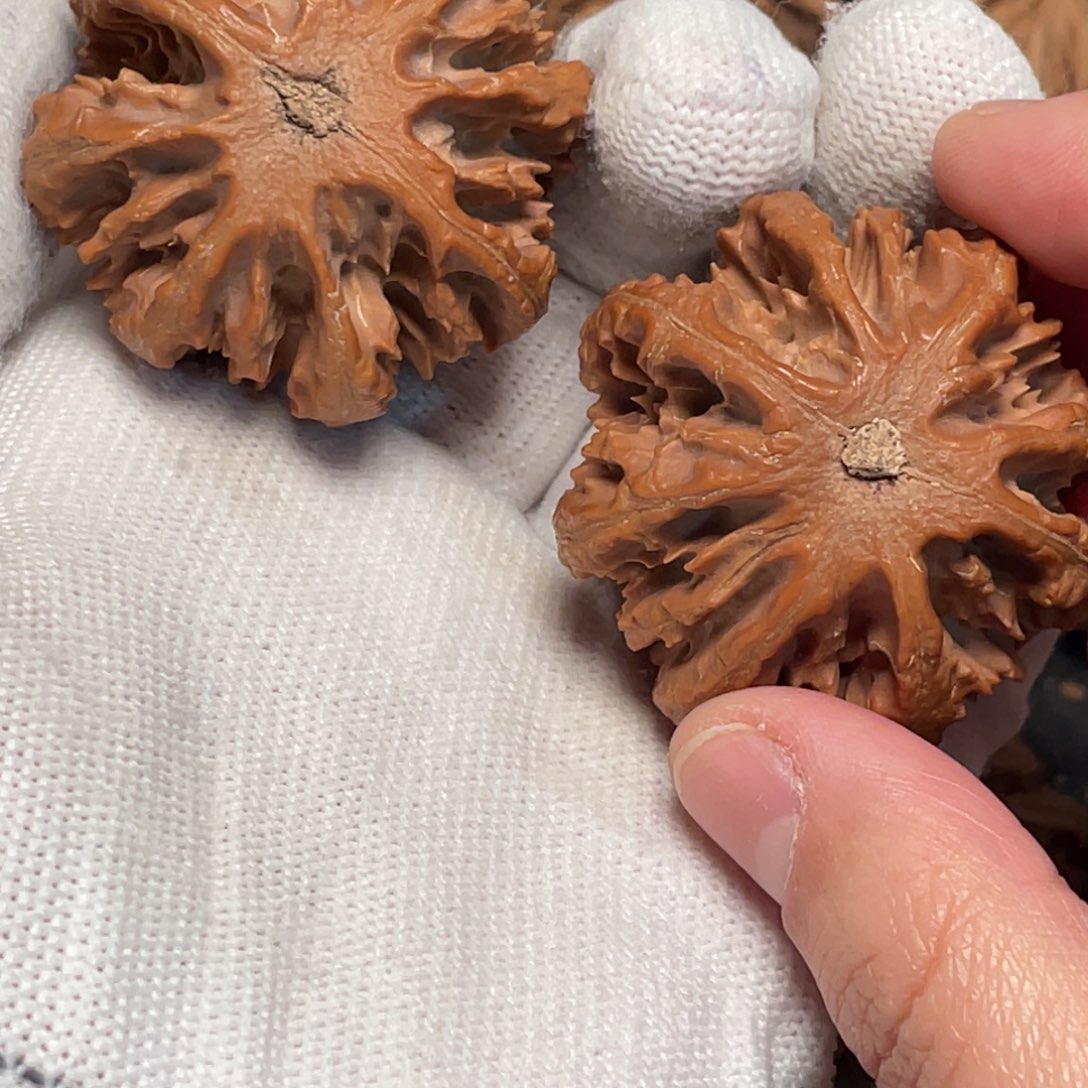 吊坠桃核2 秦岭灯笼野生小众