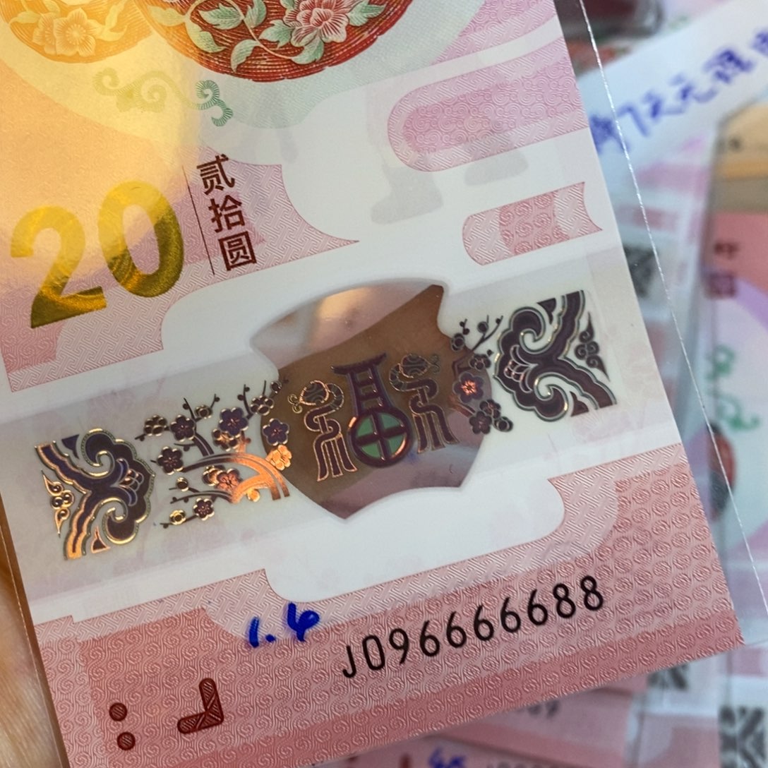 塑料 6688………………………………