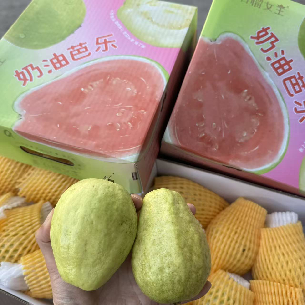 树熟奶油白心芭乐  番石榴 口感丝滑香 约3斤