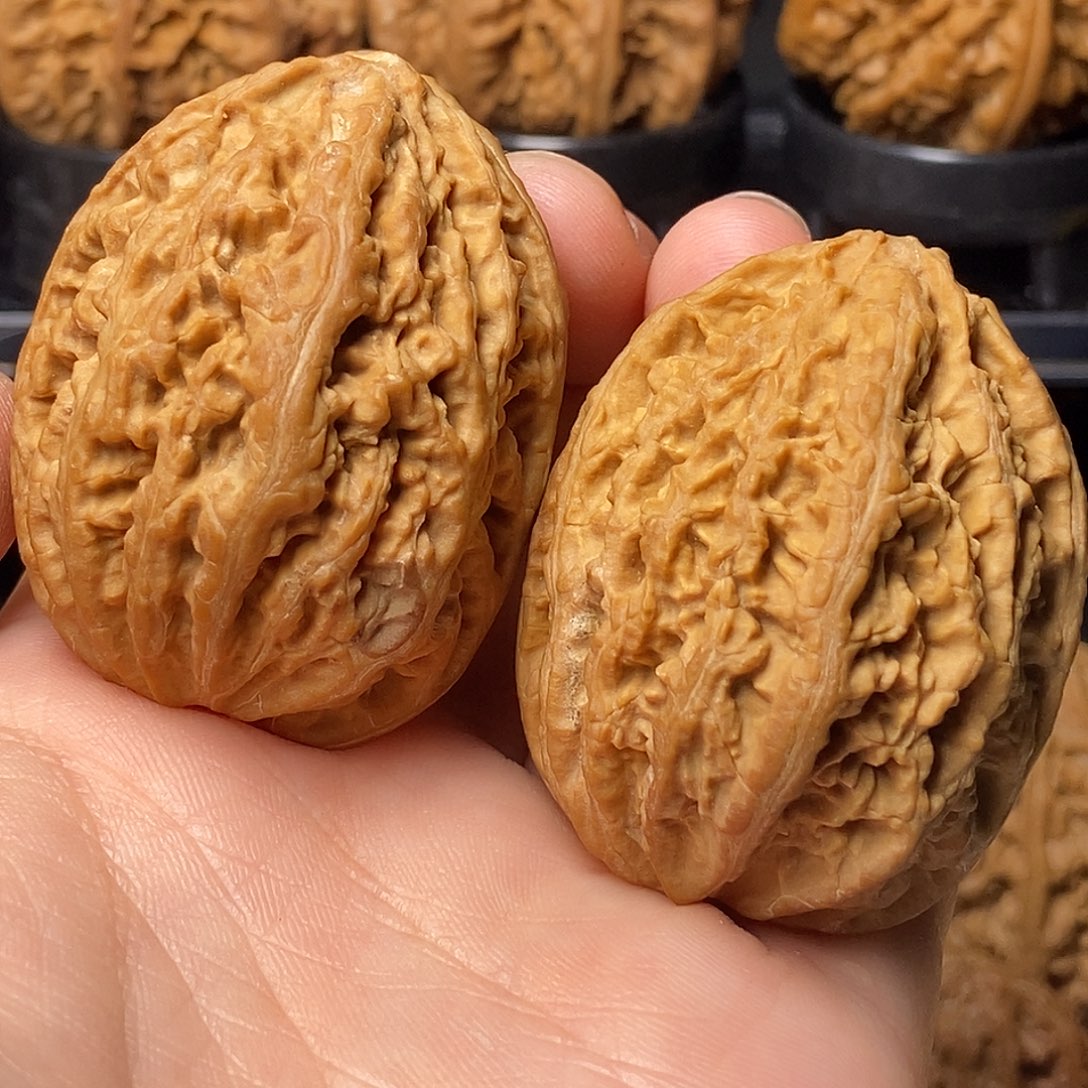 归****把件文玩核桃虎头