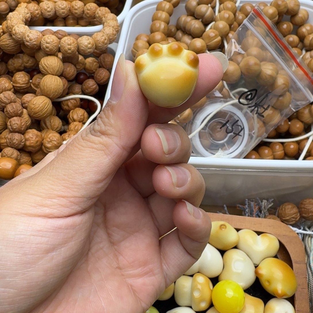 把件菩提根/象牙果