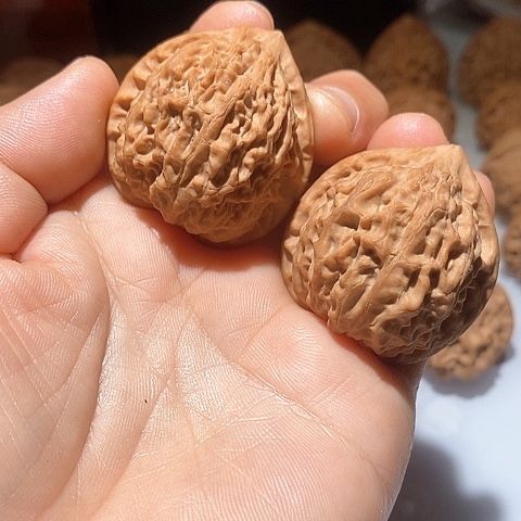 吊坠文玩核桃?****?金牛