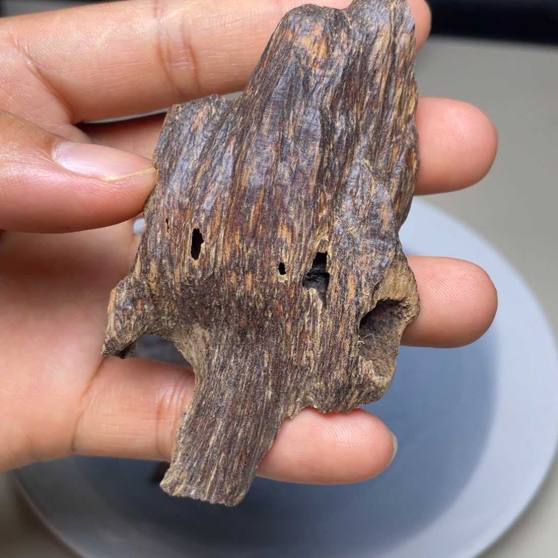 香榧木海南竹木根雕木料9克