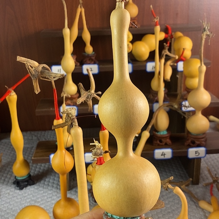 七***安不是因为自己没有足够优秀和能力有了