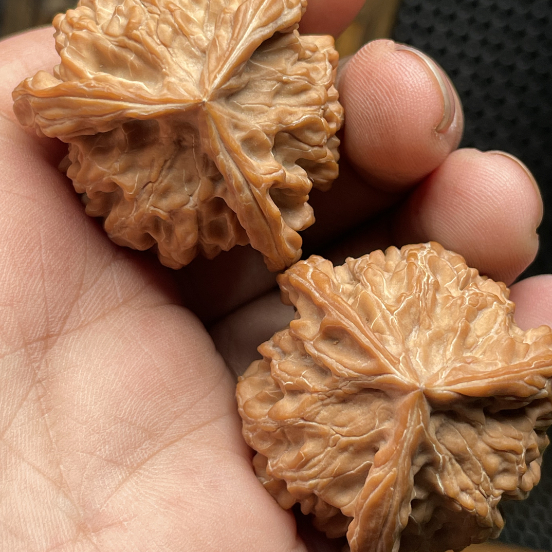 全品盘山三棱核桃 37尺 货头 