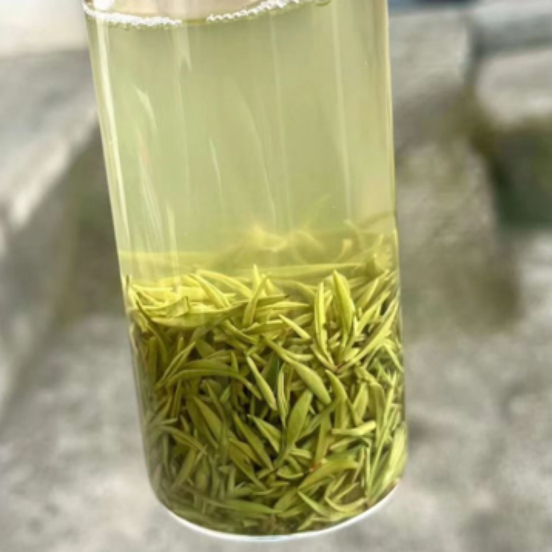 【明前小米芽】2025年信阳毛尖明前茶叶新茶