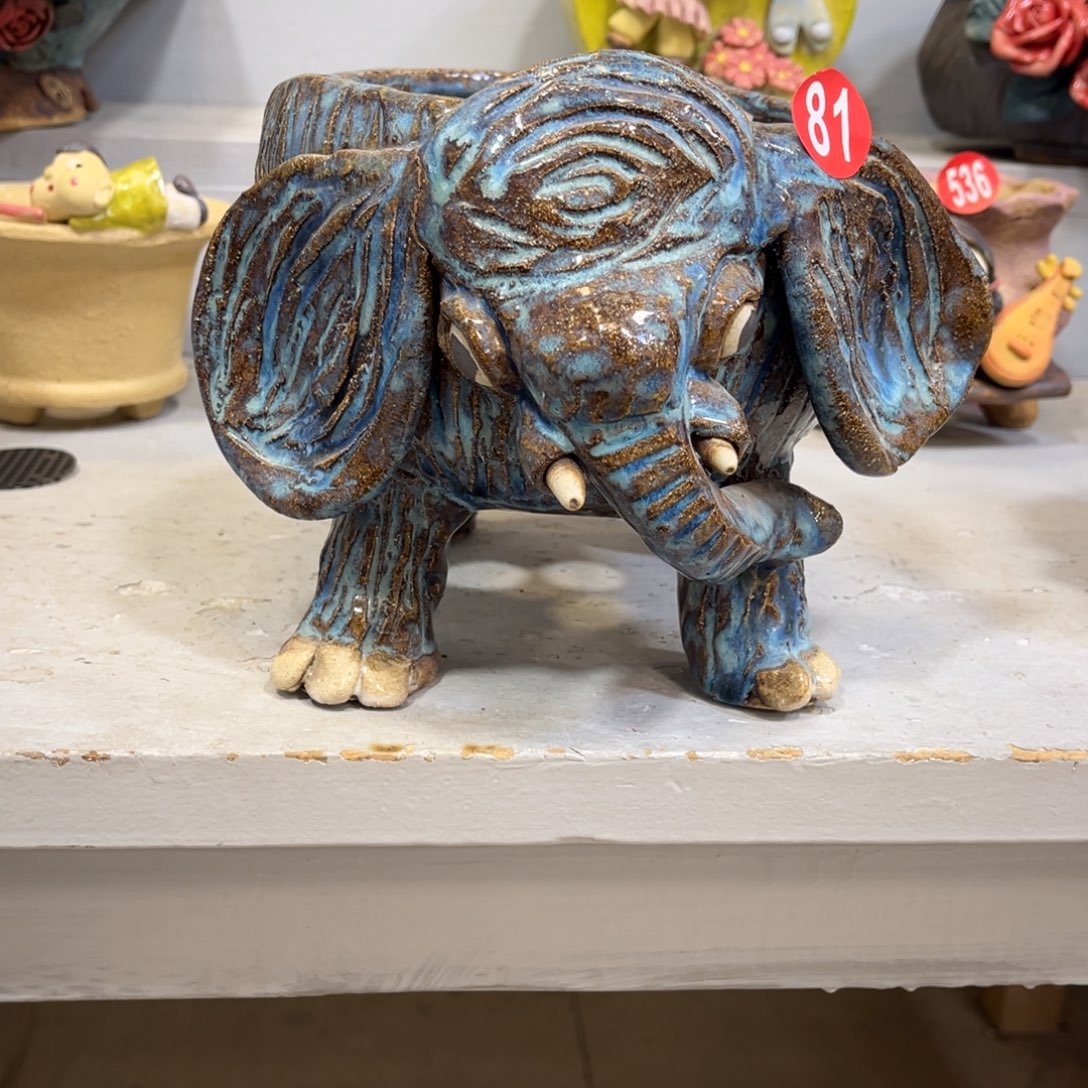 微瑕81号陶然花盆