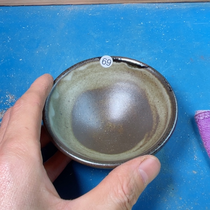 茶宠盏盏灯都是我的爱呀