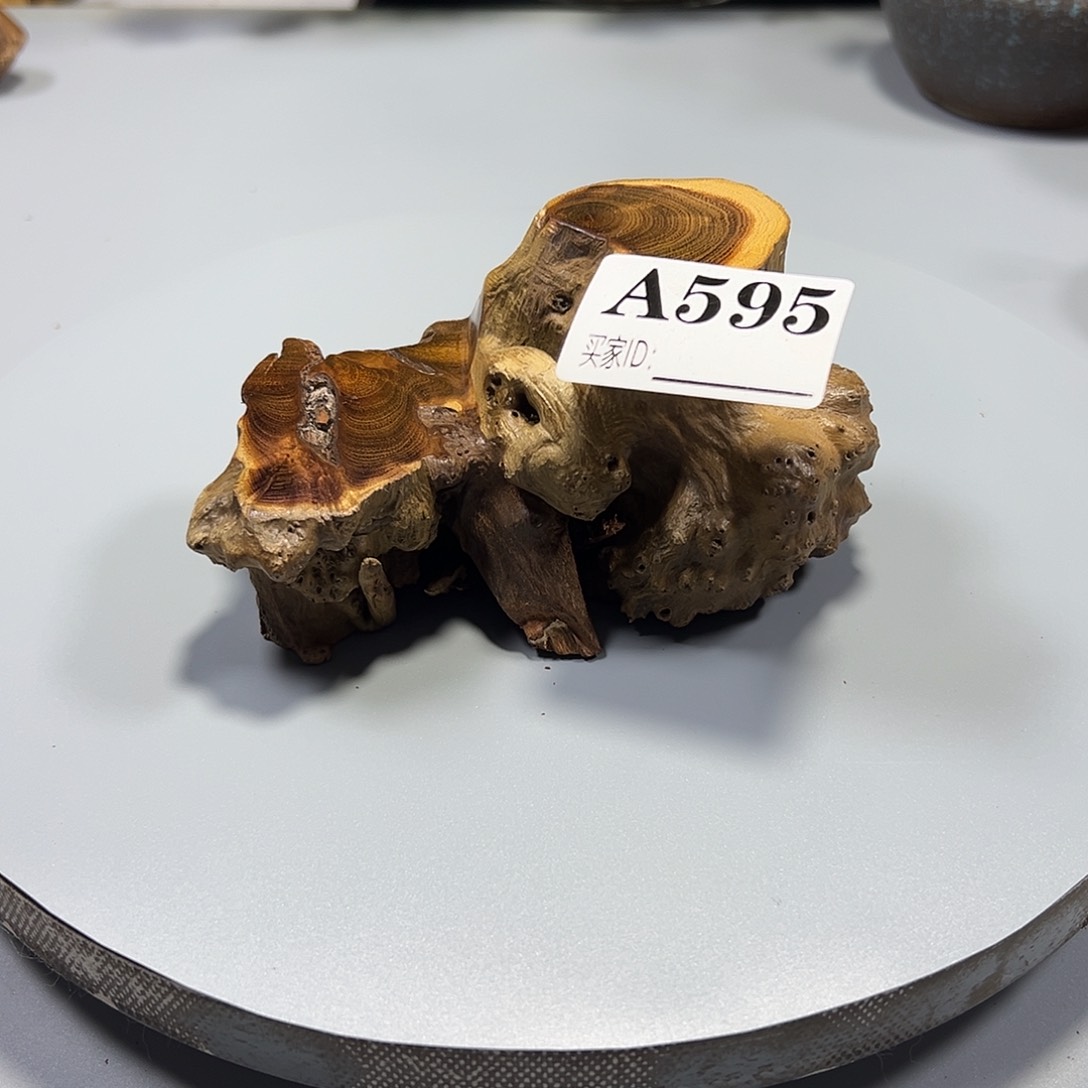 大果紫檀（缅甸花梨）路*