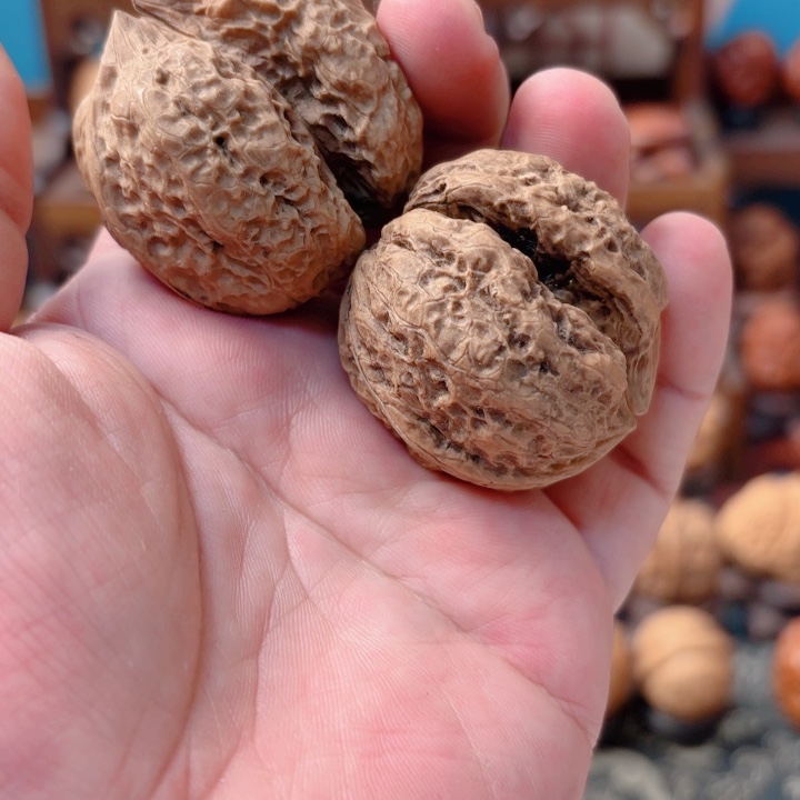 文玩核桃把件Z**.两连