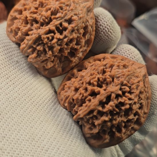 核桃手串/手链2013年老麻子