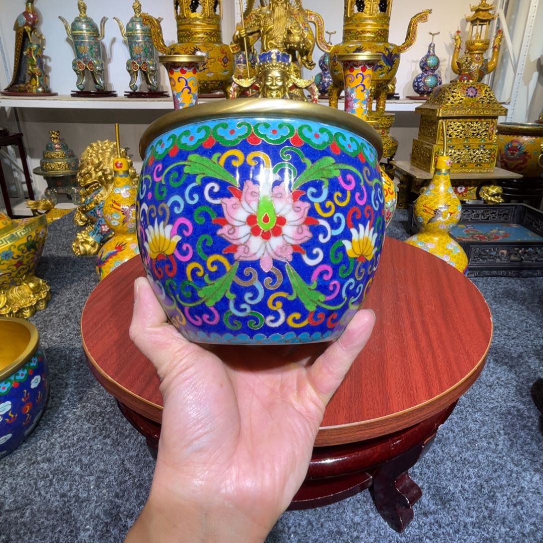 二***12555856668888888898