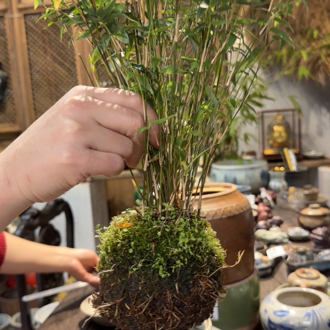 西***姆罐静界茶空间老物件175