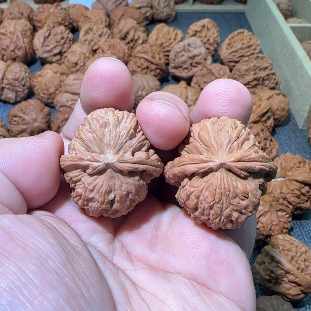 文玩核桃把件34白狮子手捻