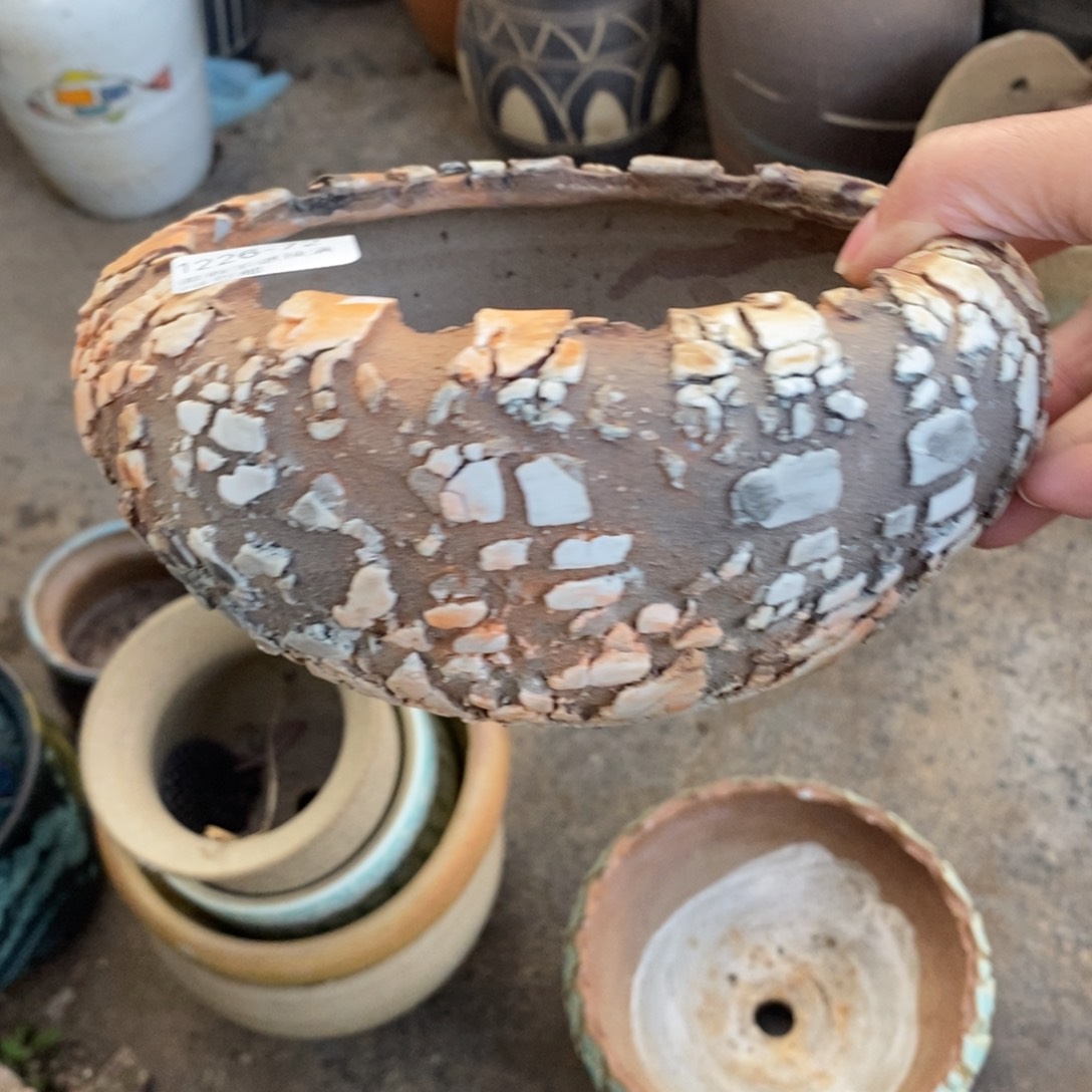 72号多肉盆口径13.5