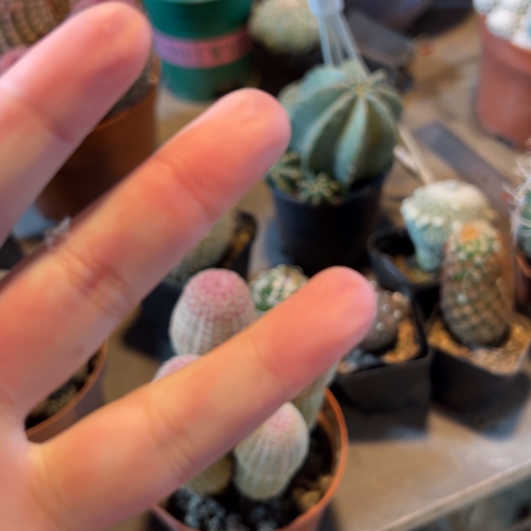 青***水余额112哈哈哈哈哈哈哈哈哈哈哈哈哈