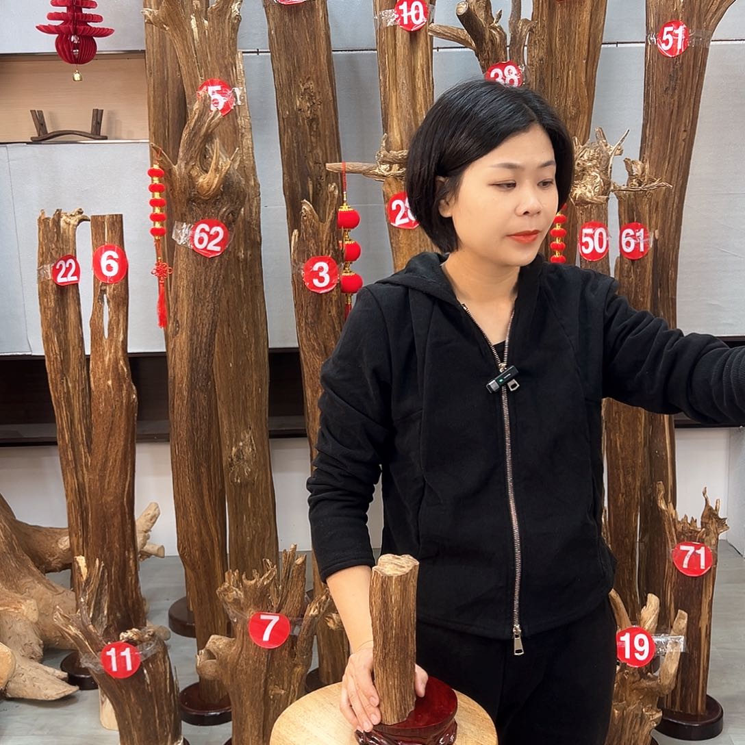 沉香摆件沉香摆件