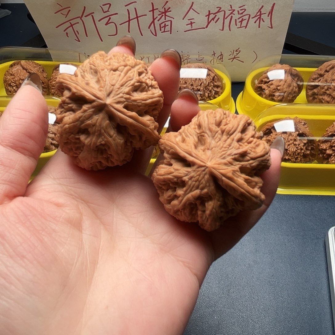 核桃45尺寸全是大粗筋