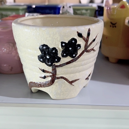 多肉植物花盆花盆