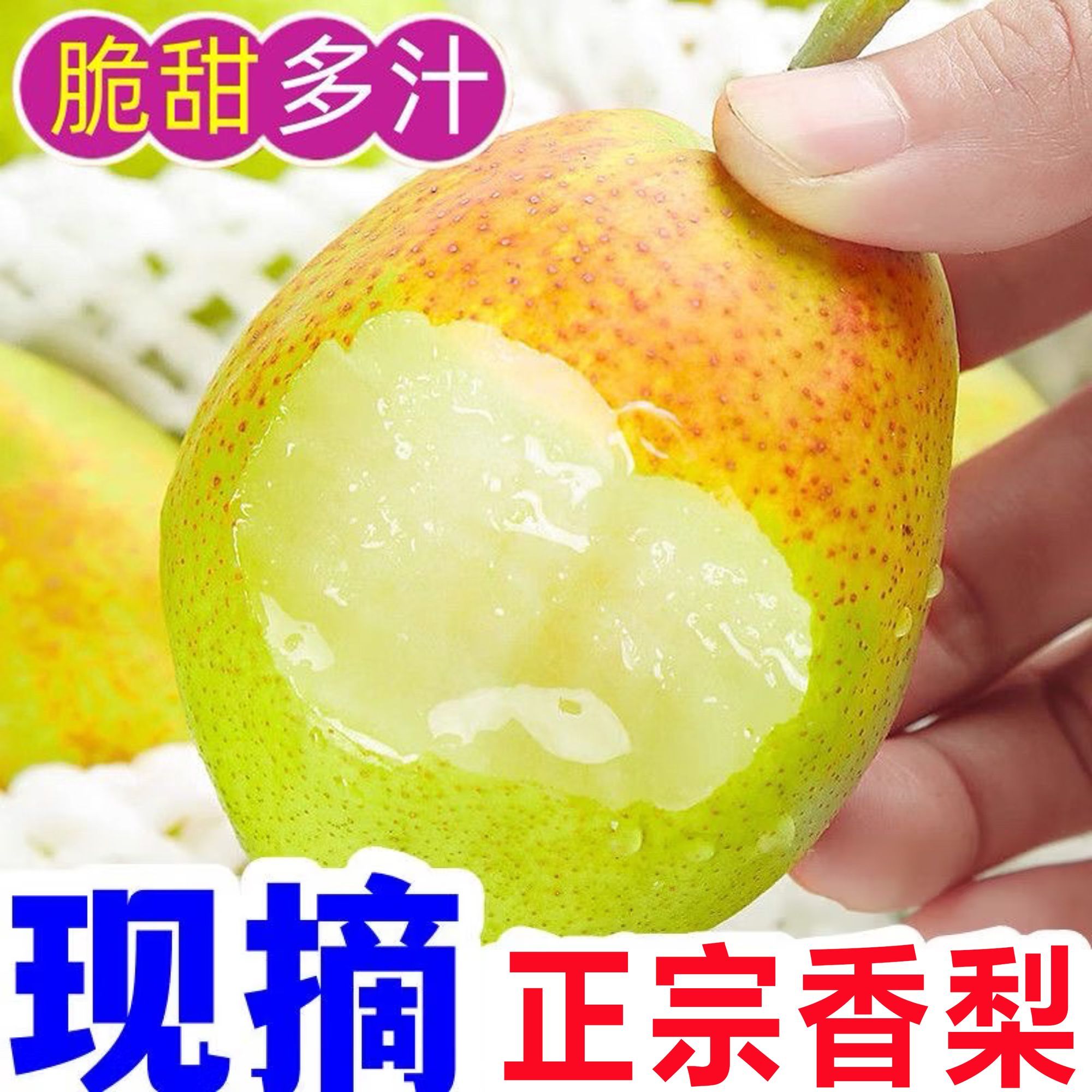 红香酥梨产地直发口感爆汁果肉细腻无渣新鲜水果