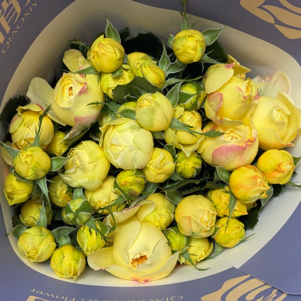 【藏花的房间】超高品质玫瑰 超稀有玫瑰 兔子耳朵 高档插花顺丰