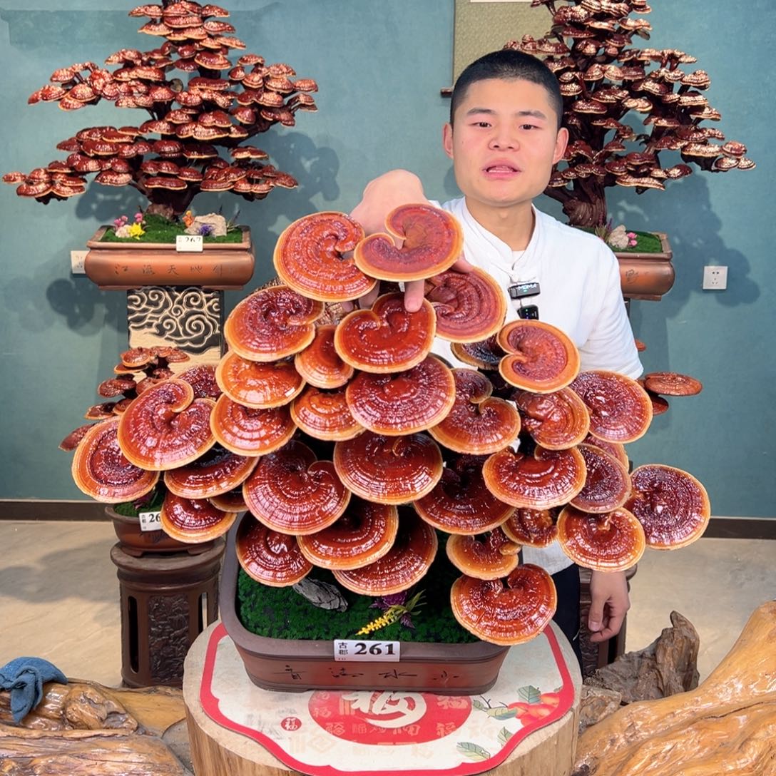 无花朵888888888888