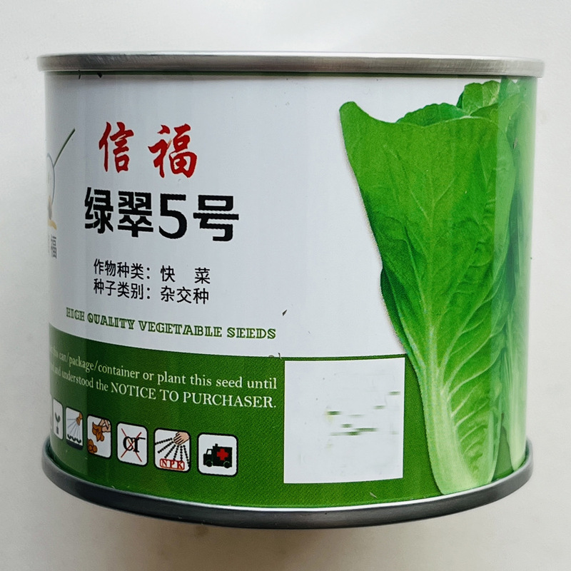 快菜种子小白菜籽四季小白菜种籽苗春秋冬季青蔬菜菜种籽大全种孑