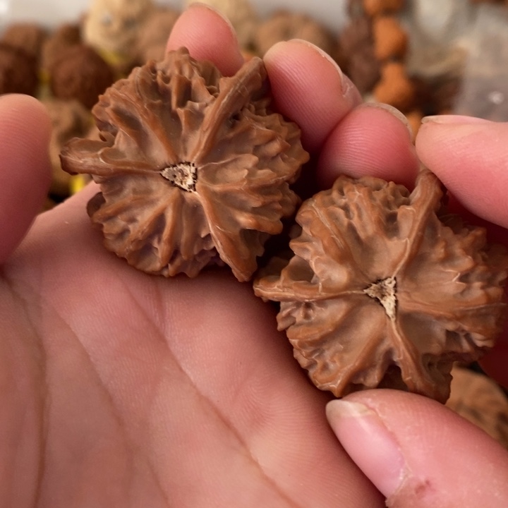 吊坠文玩核桃华*！老树盘山三棱狮子头