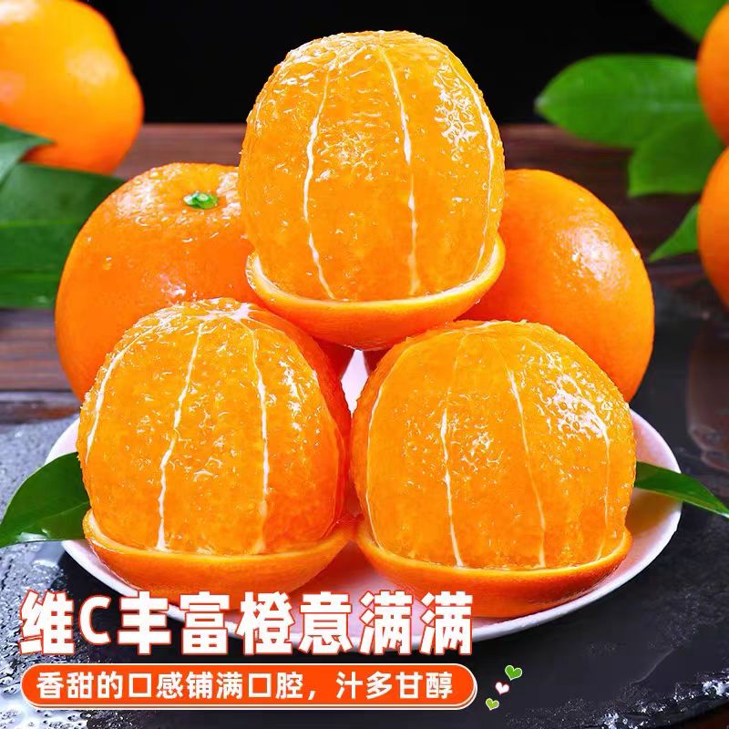 自然熟高山纽荷尔脐橙产地直发现采现发应季鲜果gw