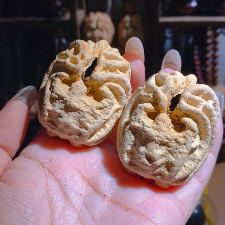 野生鬼脸乾坤核桃4050