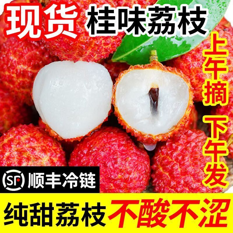 【顺丰冷运】DD广东桂味荔枝大果新鲜当季水果纯甜口感茂名高州荔枝