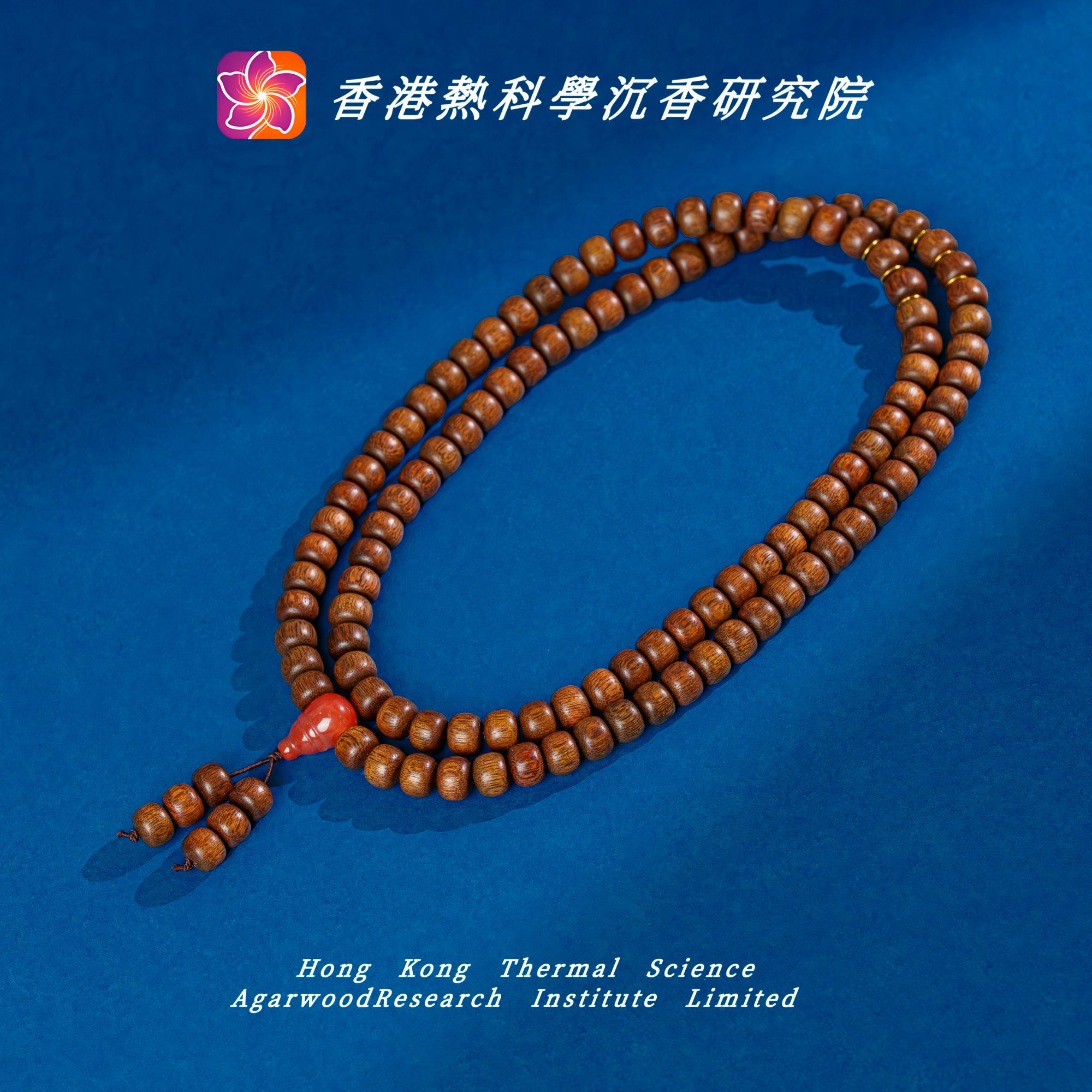 沉香【热科学研究院】沉水占婆血舍利10mm*108多圈设计款