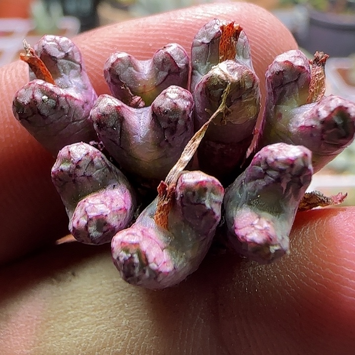 哈哈哈哈哈哈哈。   345