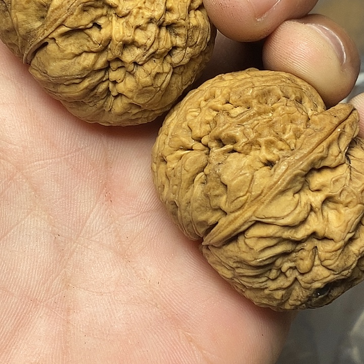 把件文玩核桃志成云铁文玩83